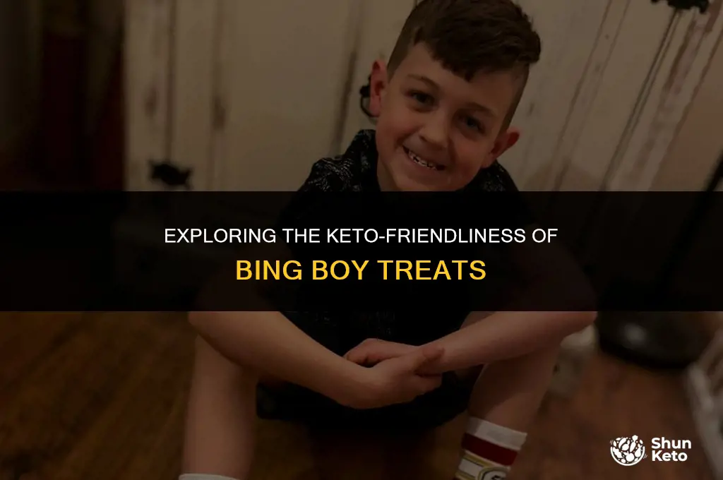 is bing boy keto friendly