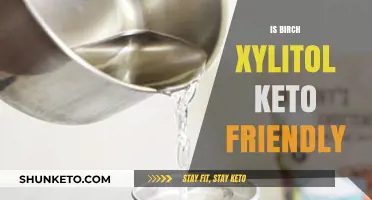 Exploring the Keto Compatibility of Birch Xylitol: A Sweetener's Guide