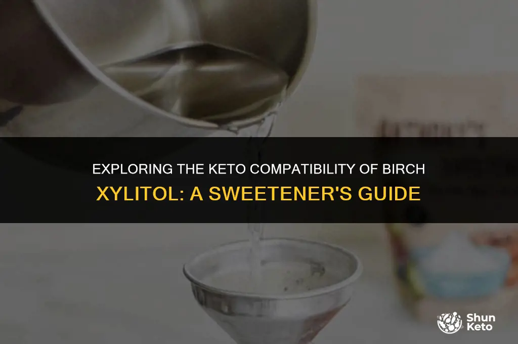 is birch xylitol keto friendly