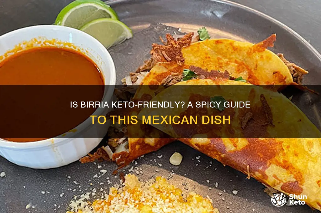 is birria keto
