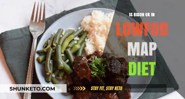 Bison and Low-FODMAP: A Healthy Match?