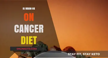 Bison Benefits for a Cancer-Fighting Diet
