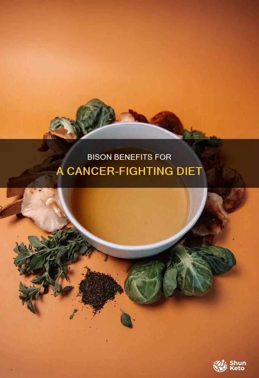is bison ok on cancer diet