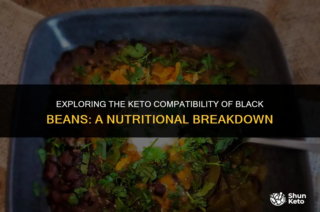 is black bean keto friendly