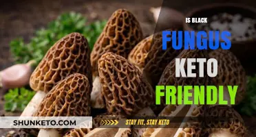 Exploring the Keto Compatibility of Black Fungus: A Nutritional Insight