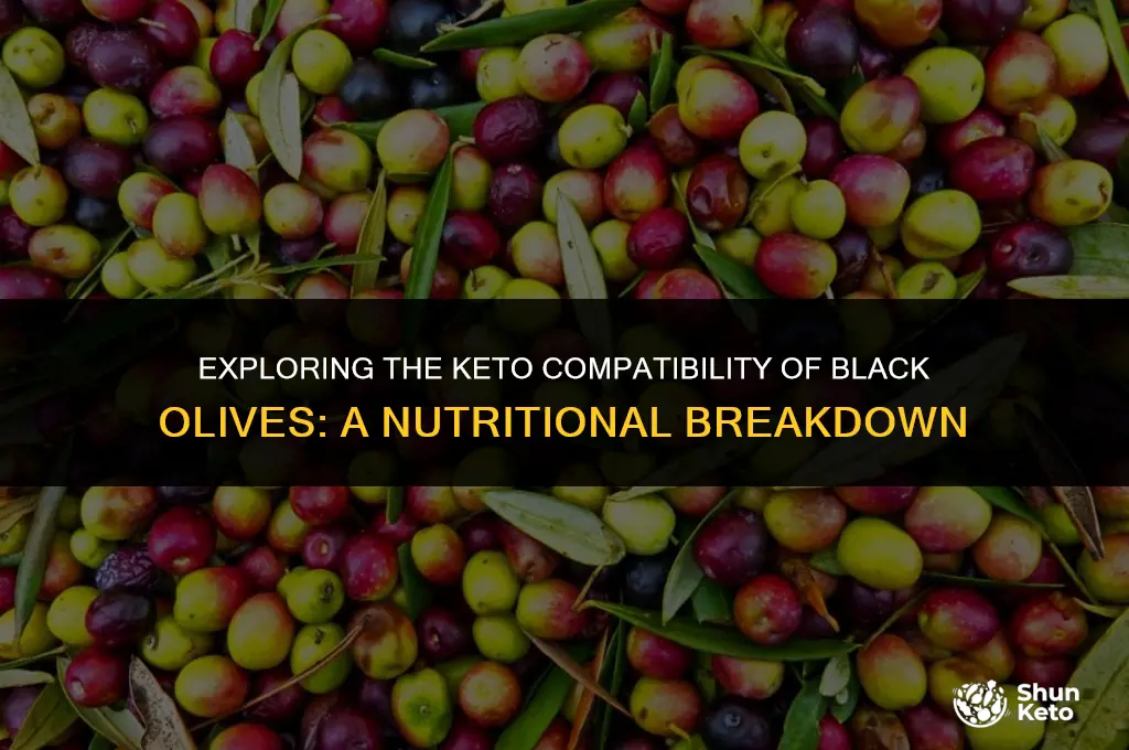 is black olives keto friendly