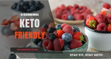 Are Blackberries Keto-Friendly? A Comprehensive Guide to Low-Carb Berries