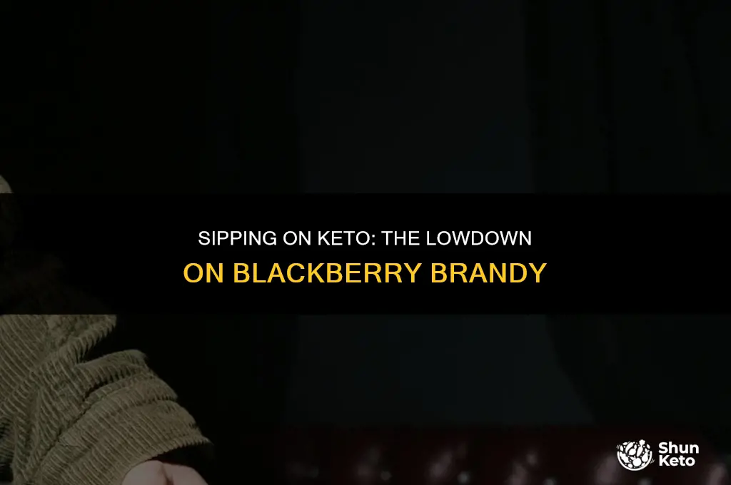is blackberry brandy keto friendly