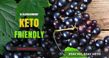 Blackcurrant Keto: A Berry Good Choice for Your Low-Carb Diet?
