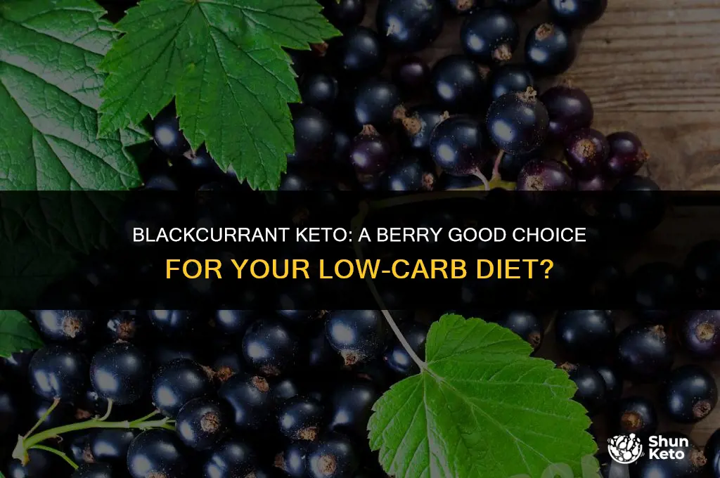 is blackcurrant keto friendly