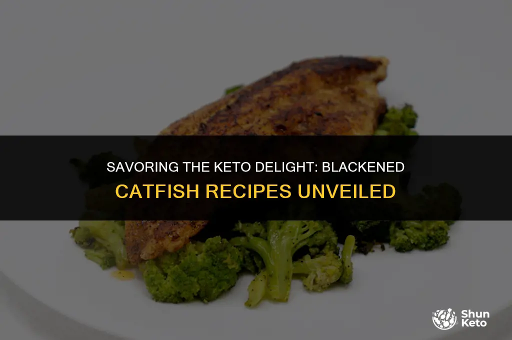 is blackened catfish keto