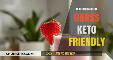 Blenders in the Grass: A Keto-Friendly Smoothie Revolution