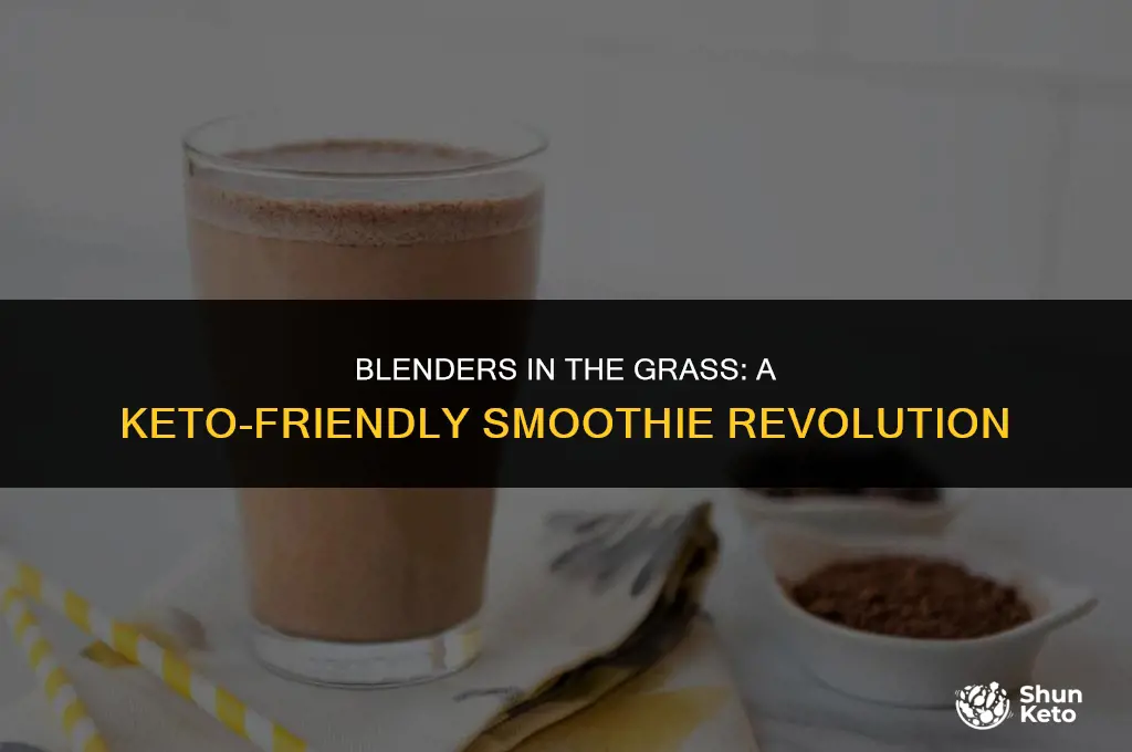 is blenders in the grass keto friendly