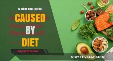 Cholesterol and Diet: What's the Link?