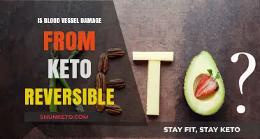 Reversing Blood Vessel Damage: The Keto Diet's Impact Explored