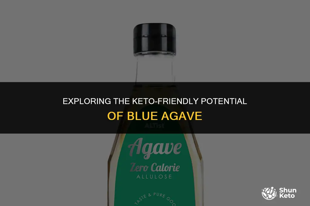 is blue agave keto