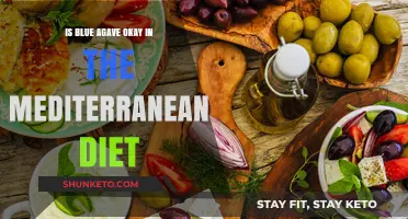 Agave in the Mediterranean Diet: Healthy or Not?