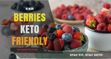 Blueberries on Keto: A Comprehensive Guide to Their Low-Carb Benefits