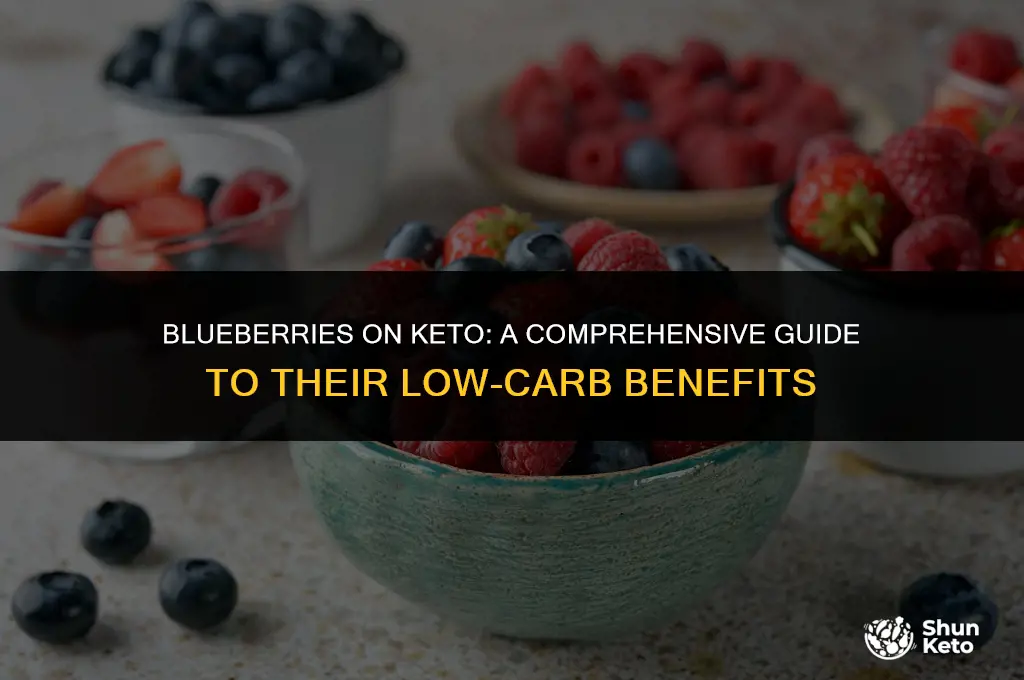 is blue berries keto friendly