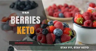 Blueberries on Keto: A Comprehensive Guide to Low-Carb Berries