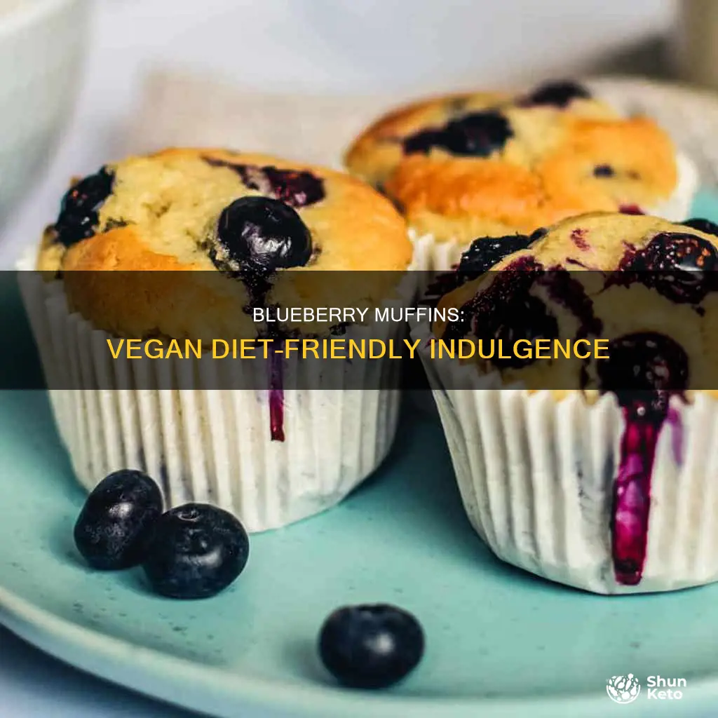 is blue berry muffin vegan diet