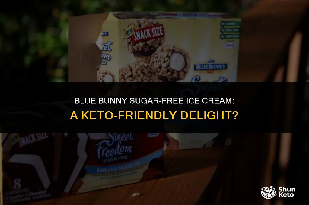 is blue bunny sugar free ice cream keto friendly