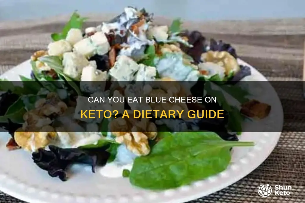 is blue cheese allowed on keto diet