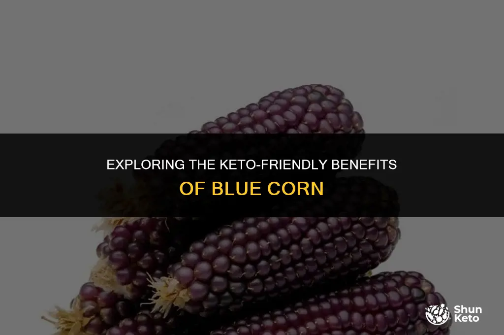 is blue corn keto