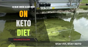 Blue Green Algae on Keto: Benefits, Risks, and Compatibility