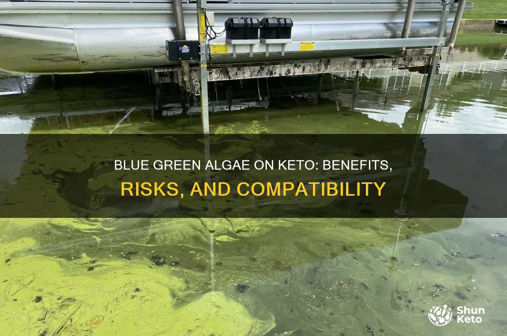 is blue green algae okay on keto diet