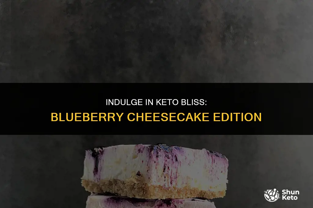 is blueberry cheesecake keto friendly