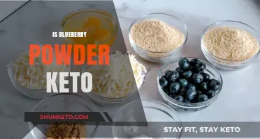 Blueberry Powder: A Keto-Friendly Superfood or Hidden Carb Trap?