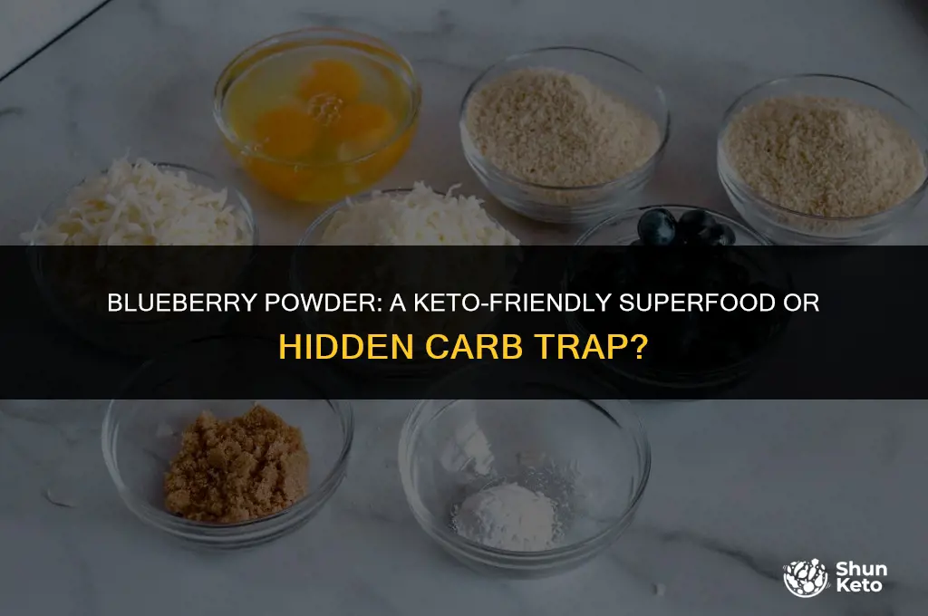 is blueberry powder keto