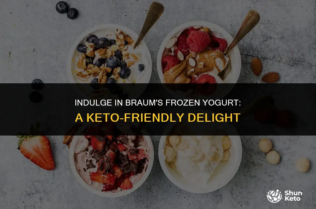 is braums frozen yogurt keto
