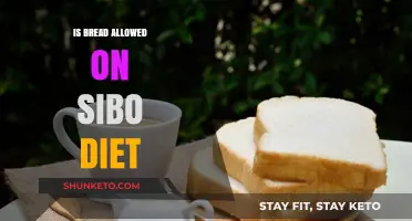 Bread on SIBO Diets: What You Need to Know