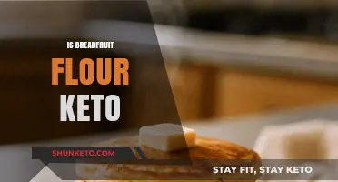 Exploring the Keto-Friendly Potential of Breadfruit Flour
