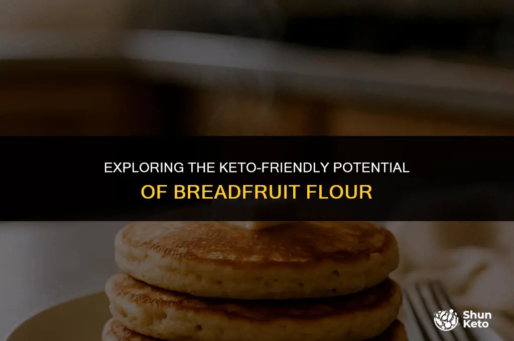is breadfruit flour keto