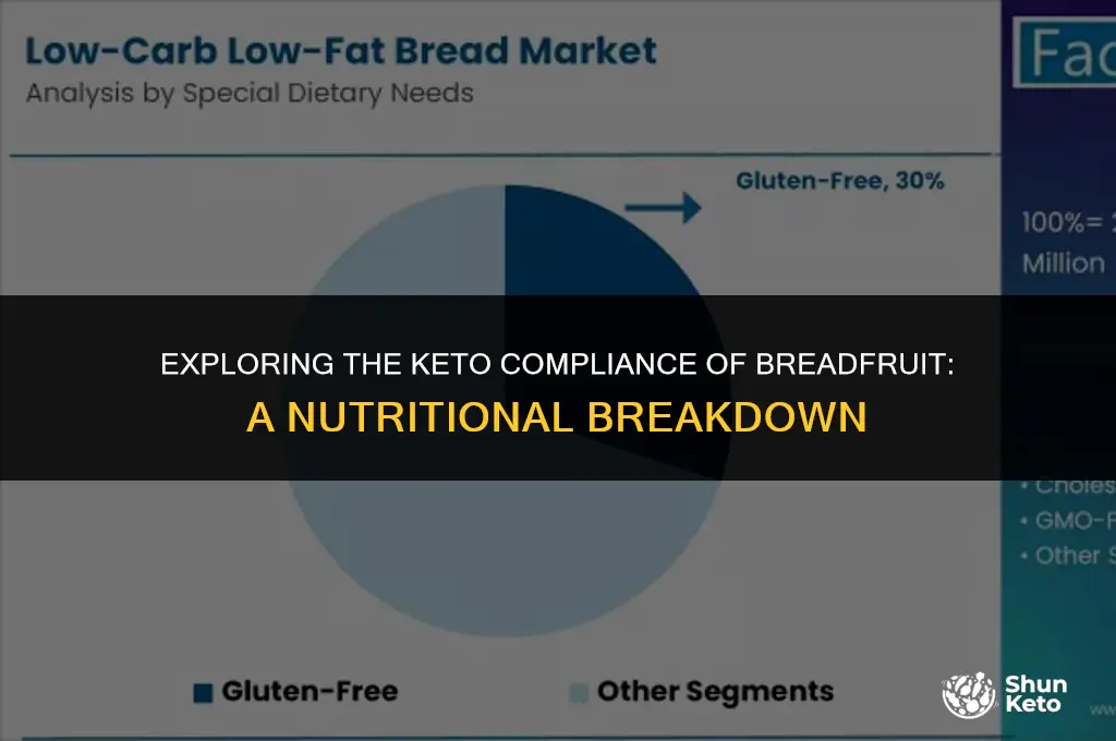 is breadfruit keto compliant