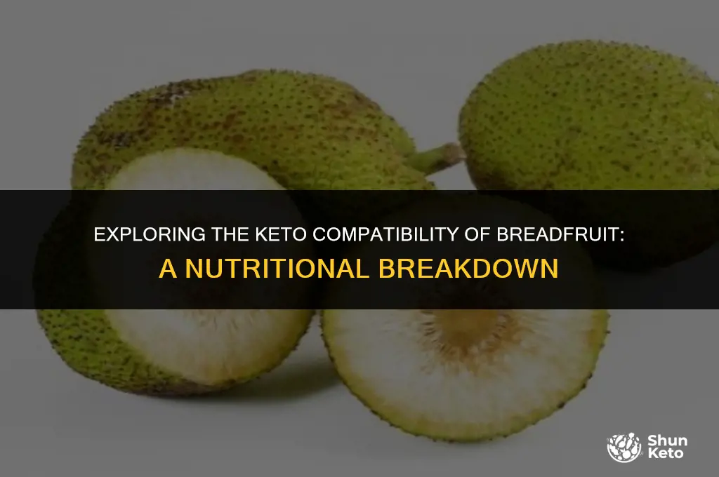 is breadfruit keto friendly