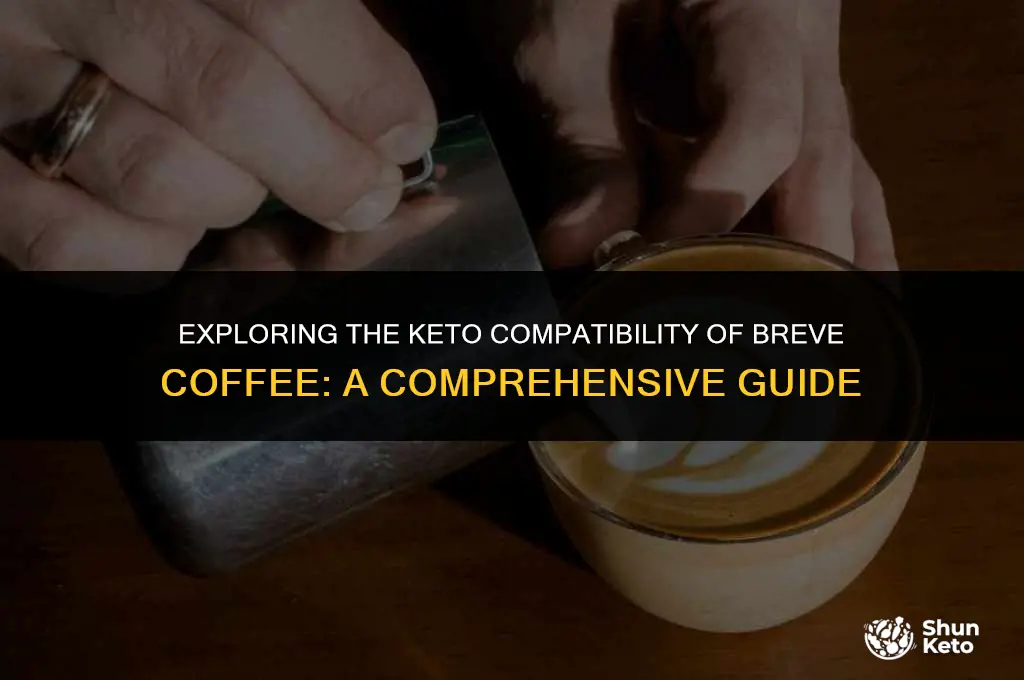 is breve keto friendly
