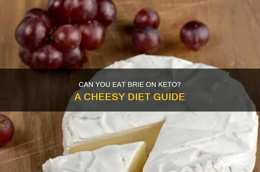 is brie allowed on keto diet