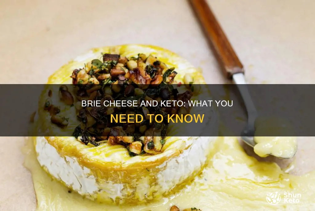 is brie cheese keto