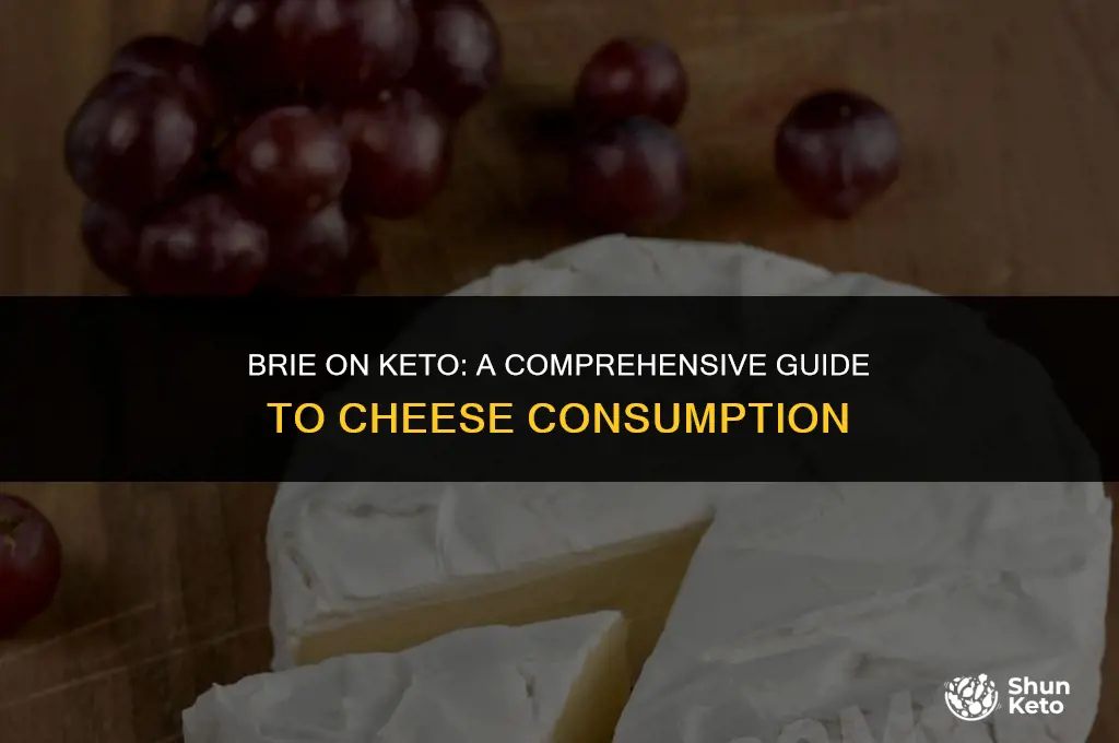 is brie permitted on keto