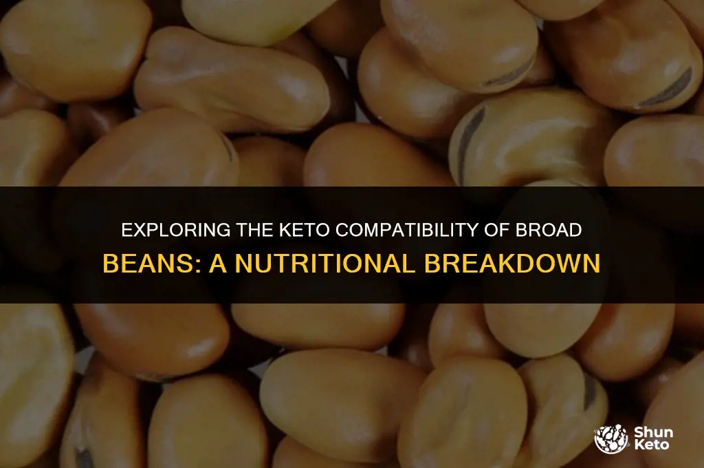 is broad bean keto friendly