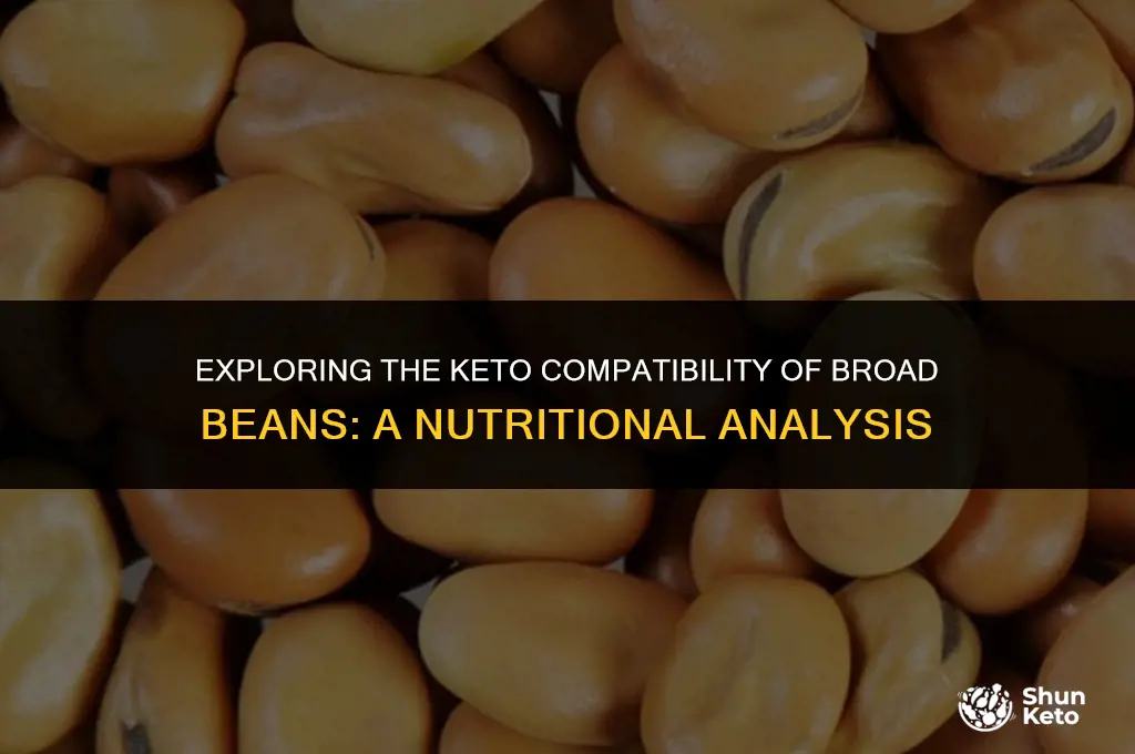 is broad bean keto