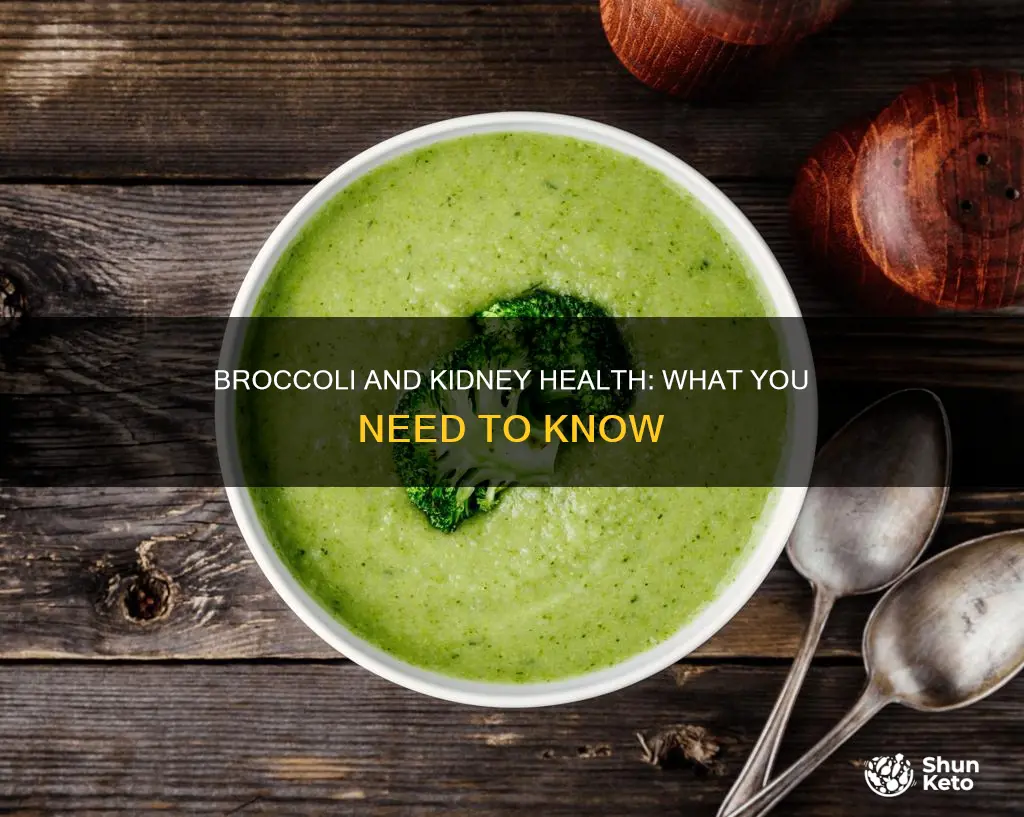 is broccoli ok for renal diet