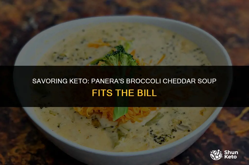 is brocolli cheddar soup from panera bread keto keto friendly