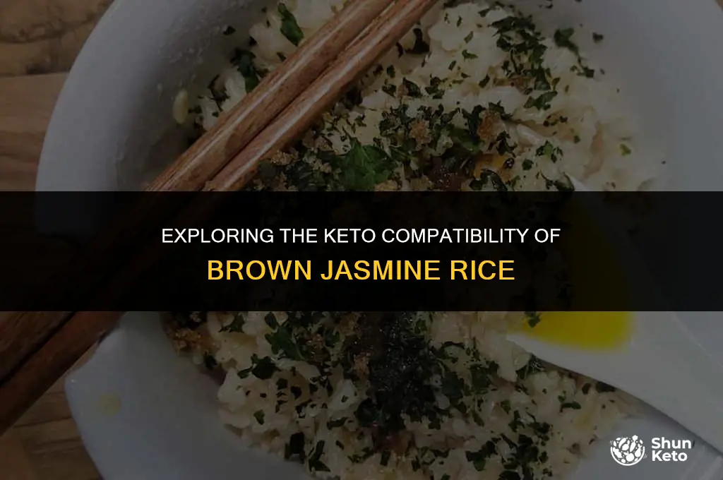 is brown jasmine rice keto friendly