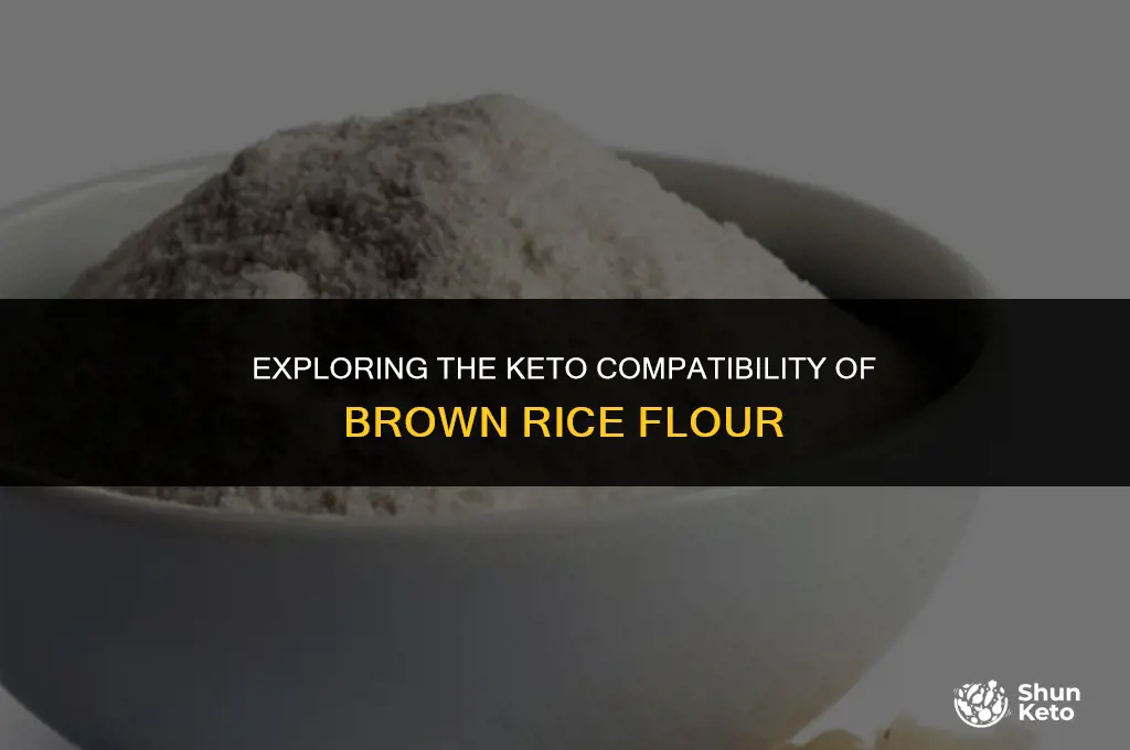 is brown rice flour keto friendly