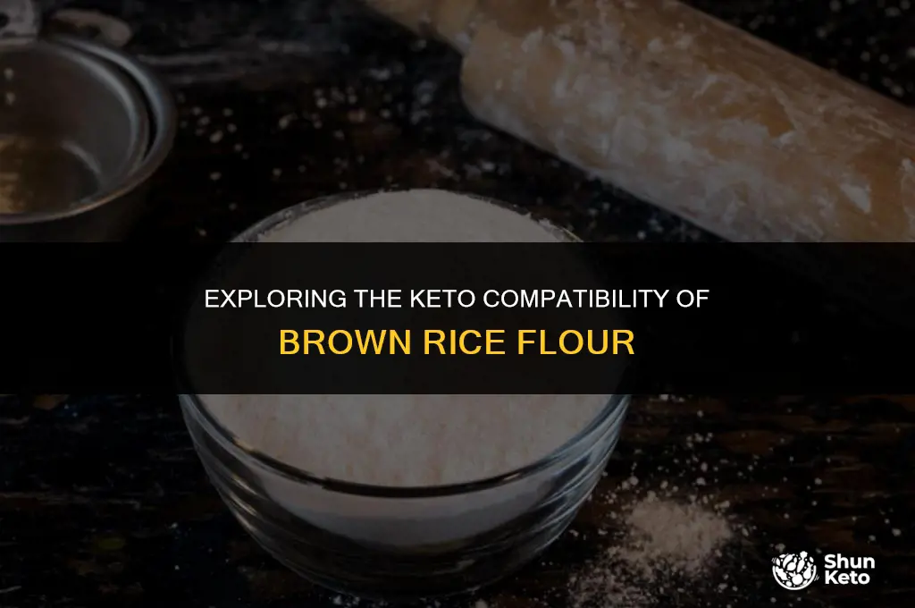 is brown rice flour keto